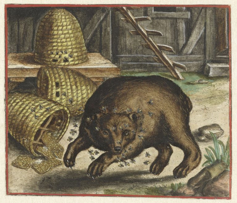 Marcus Gheeraerts (I), The parabel of the bear and the bees, 1567 <br>Rijksmusem, Amsterdam, http://hdl.handle.net/10934/RM0001.COLLECT.324343